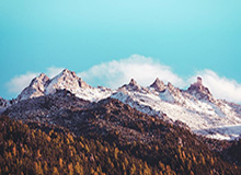 实时比分-申花董事长：今年压力有些早 有些大，这是申花重生的代价