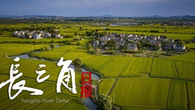 体育平台-“苏超”赛场“气晕”的小恐龙有IP文创了